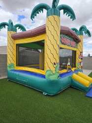 20250312 125427 1741824903 14' x 14' Safari Bounce House